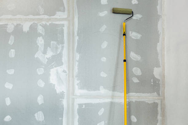 Best Mold Documentation for Insurance Claims  in Teaticket, MA