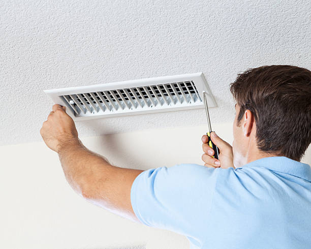 Professional Mold Removal in Teaticket, MA